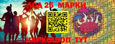 гашик Будённовск