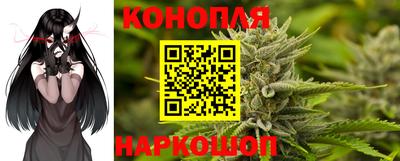 гашик Будённовск