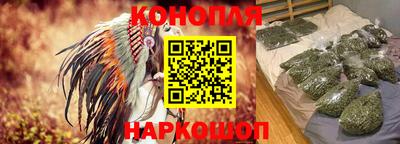 гашик Будённовск