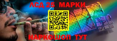 гашик Будённовск