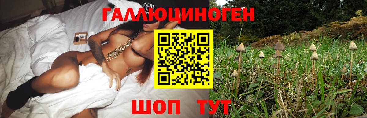 наркота  Вход с VPN  Похвистнево  Галлюциногенные грибы Psilocybe 